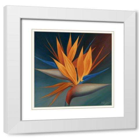 Bird of Paradise II White Modern Wood Framed Art Print with Double Matting by Rhyan, Vivien
