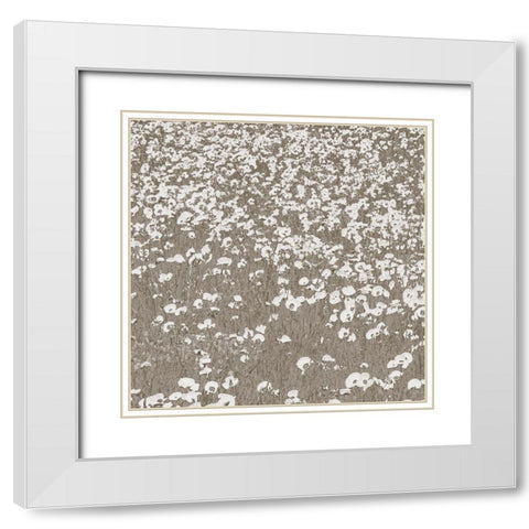 Neutral Fields White Modern Wood Framed Art Print with Double Matting by Lake, Shelley