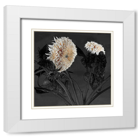 Sunflowers I White Modern Wood Framed Art Print with Double Matting by Lake, Shelley
