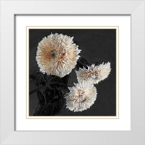 Sunflowers II White Modern Wood Framed Art Print with Double Matting by Lake, Shelley