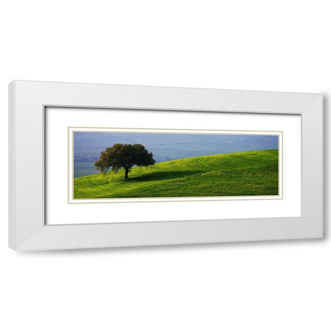 Tuscan Tree White Modern Wood Framed Art Print with Double Matting by Lake, Shelley