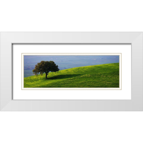 Tuscan Tree White Modern Wood Framed Art Print with Double Matting by Lake, Shelley