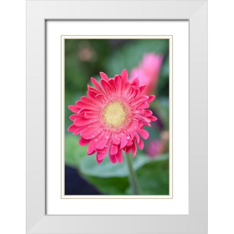 New Vision I White Modern Wood Framed Art Print with Double Matting by Pinto, Patricia