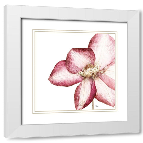 Rouge Plum Flowers I White Modern Wood Framed Art Print with Double Matting by Pinto, Patricia