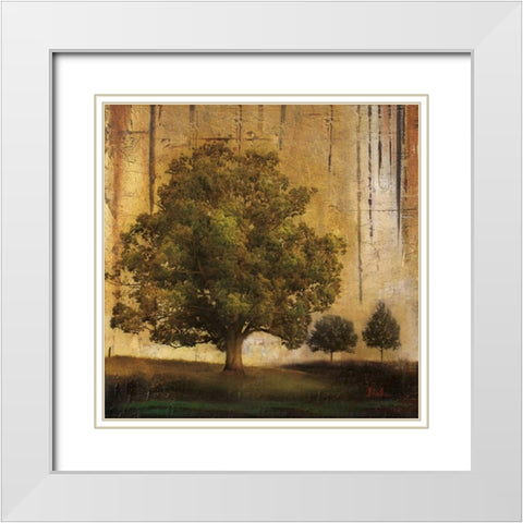 Aged Tree II White Modern Wood Framed Art Print with Double Matting by Pinto, Patricia