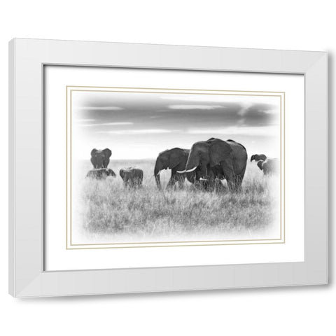 Eles White Modern Wood Framed Art Print with Double Matting by Farnsworth, Sarah
