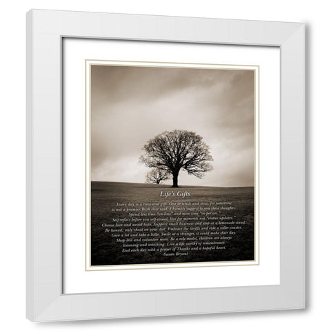 Lifes Gifts White Modern Wood Framed Art Print with Double Matting by Johnson, Ian