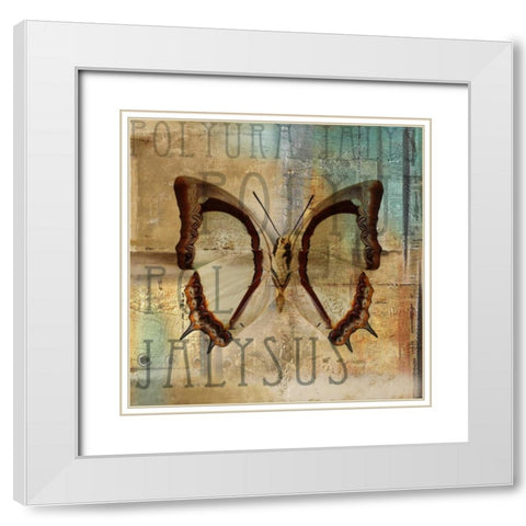 Polyurabutterfly II White Modern Wood Framed Art Print with Double Matting by Pinto, Patricia