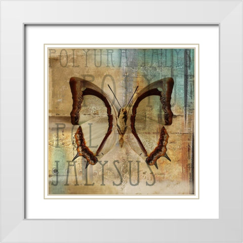 Polyurabutterfly II White Modern Wood Framed Art Print with Double Matting by Pinto, Patricia