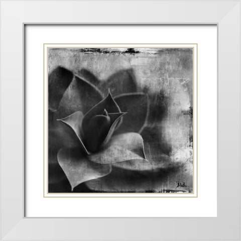 BW Succulent Border II White Modern Wood Framed Art Print with Double Matting by Pinto, Patricia