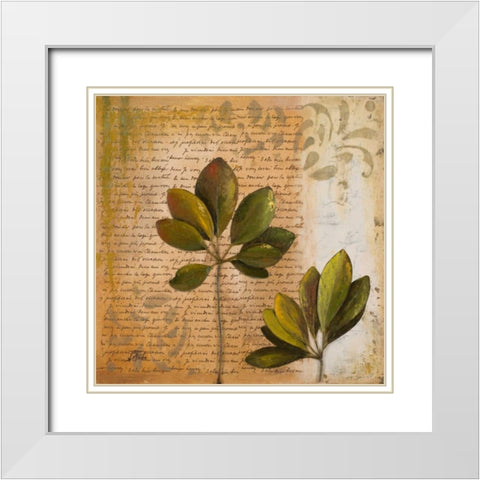 Botanica II White Modern Wood Framed Art Print with Double Matting by Pinto, Patricia