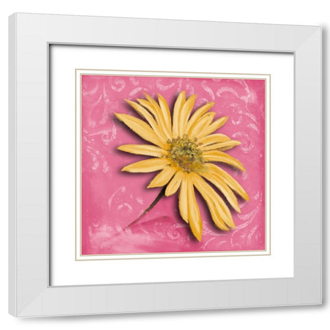 Blooming Daisy II White Modern Wood Framed Art Print with Double Matting by Pinto, Patricia