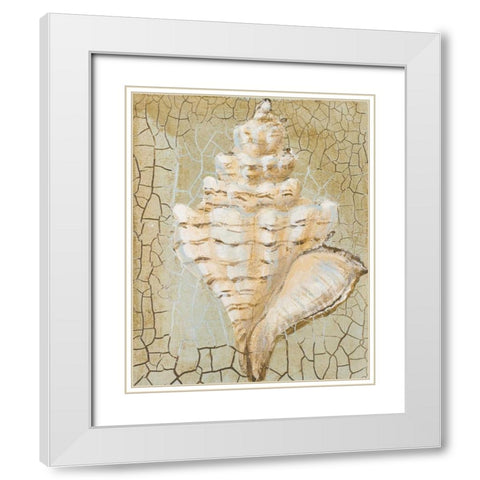 Seashell I White Modern Wood Framed Art Print with Double Matting by Hakimipour-Ritter