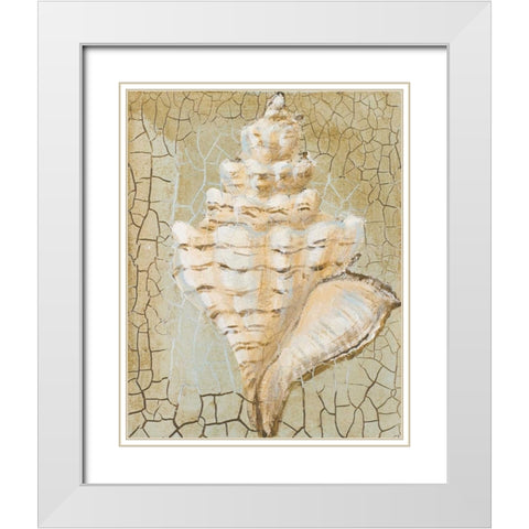 Seashell I White Modern Wood Framed Art Print with Double Matting by Hakimipour-Ritter