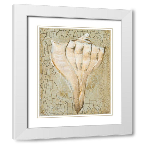 Seashell II White Modern Wood Framed Art Print with Double Matting by Hakimipour-Ritter