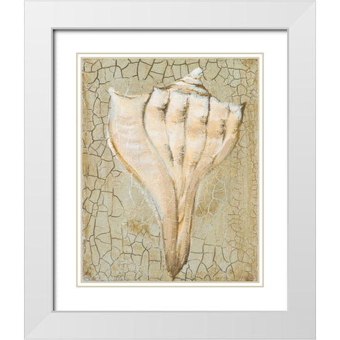 Seashell II White Modern Wood Framed Art Print with Double Matting by Hakimipour-Ritter