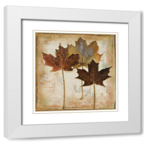 Natural Leaves III White Modern Wood Framed Art Print with Double Matting by Pinto, Patricia