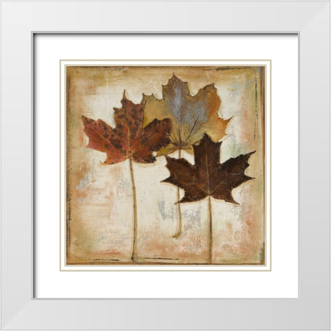 Natural Leaves III White Modern Wood Framed Art Print with Double Matting by Pinto, Patricia