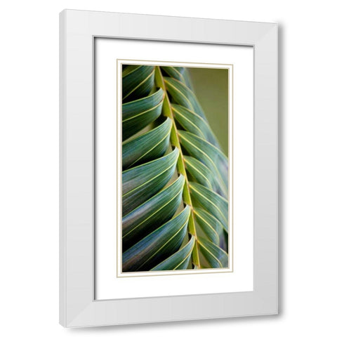 Palma II White Modern Wood Framed Art Print with Double Matting by Bryant, Susan