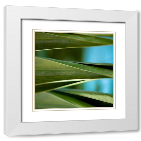 Palma III White Modern Wood Framed Art Print with Double Matting by Bryant, Susan
