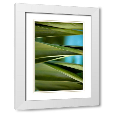 Palma III White Modern Wood Framed Art Print with Double Matting by Bryant, Susan