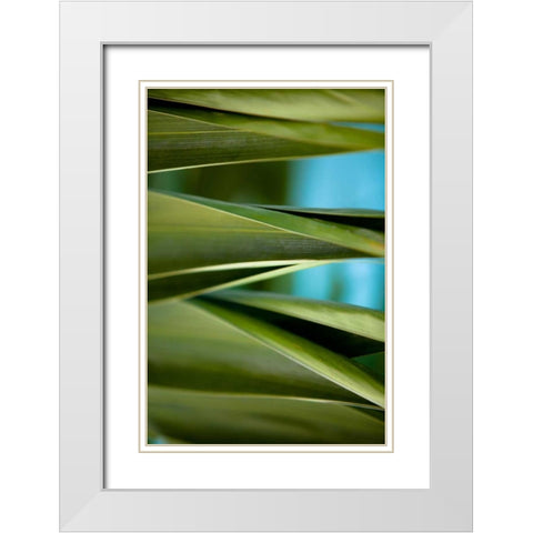 Palma III White Modern Wood Framed Art Print with Double Matting by Bryant, Susan