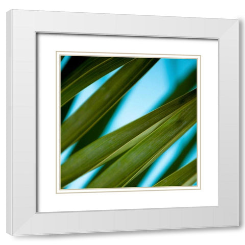 Palma IV White Modern Wood Framed Art Print with Double Matting by Bryant, Susan