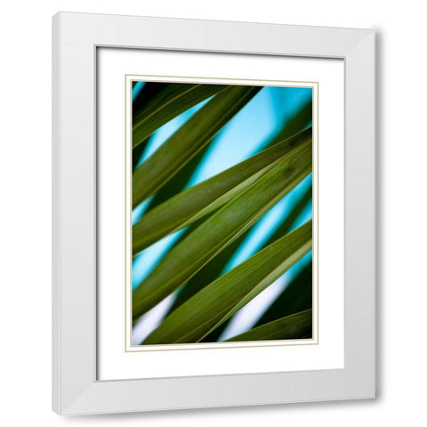 Palma IV White Modern Wood Framed Art Print with Double Matting by Bryant, Susan