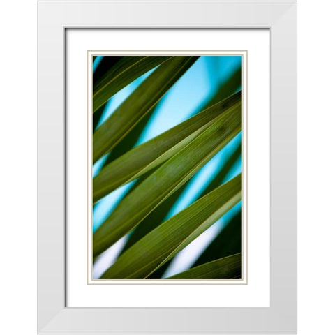 Palma IV White Modern Wood Framed Art Print with Double Matting by Bryant, Susan