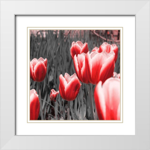 Red Tulips I White Modern Wood Framed Art Print with Double Matting by Navas, Emily