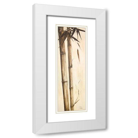 Sepia Guadua Bamboo I White Modern Wood Framed Art Print with Double Matting by Pinto, Patricia