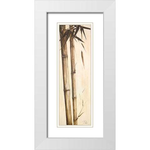 Sepia Guadua Bamboo I White Modern Wood Framed Art Print with Double Matting by Pinto, Patricia