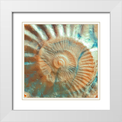 Nautique I White Modern Wood Framed Art Print with Double Matting by Rodriguez, Jairo
