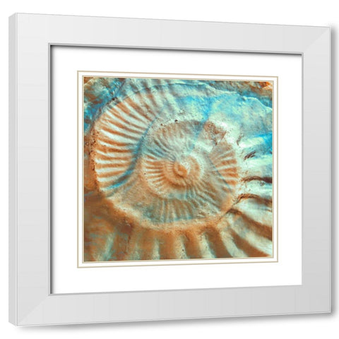 Nautique II White Modern Wood Framed Art Print with Double Matting by Rodriguez, Jairo