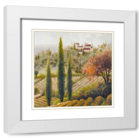 Tuscany Vineyard II White Modern Wood Framed Art Print with Double Matting by Marcon, Michael