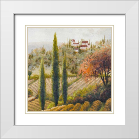 Tuscany Vineyard II White Modern Wood Framed Art Print with Double Matting by Marcon, Michael