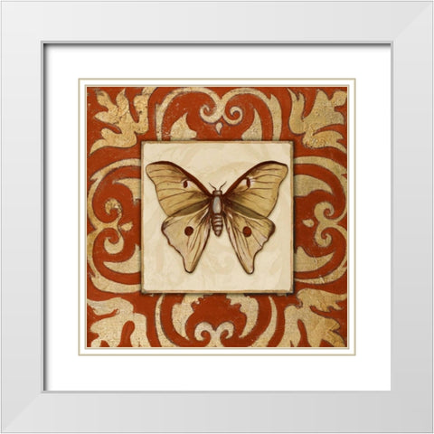 Moroccan Butterfly II White Modern Wood Framed Art Print with Double Matting by Pinto, Patricia