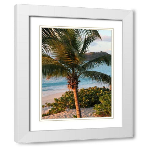 Sunset Palms I White Modern Wood Framed Art Print with Double Matting by Bryant, Susan