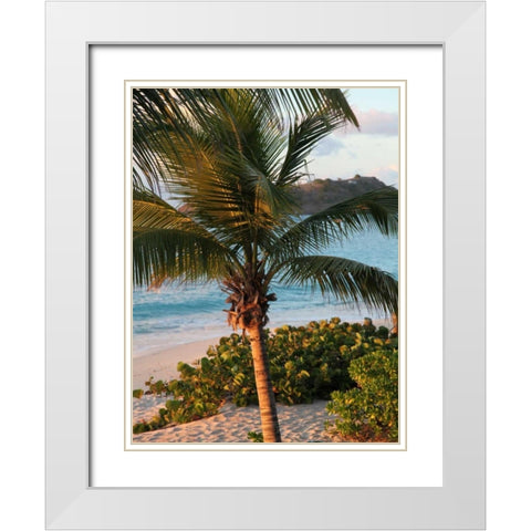 Sunset Palms I White Modern Wood Framed Art Print with Double Matting by Bryant, Susan