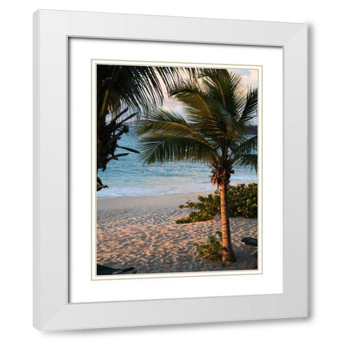 Sunset Palms II White Modern Wood Framed Art Print with Double Matting by Bryant, Susan