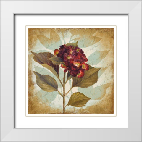 Aubergine Hydrangea Portrait White Modern Wood Framed Art Print with Double Matting by Loreth, Lanie