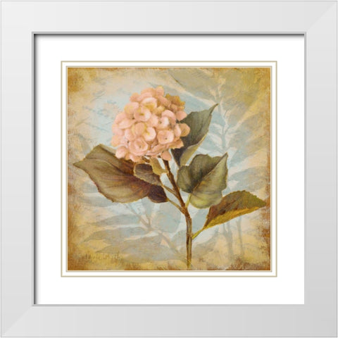 Pink Hydrangea Portrait White Modern Wood Framed Art Print with Double Matting by Loreth, Lanie