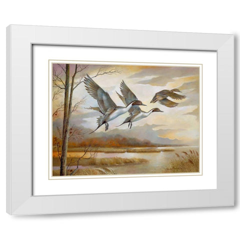 Pintails White Modern Wood Framed Art Print with Double Matting by Manning, Ruane