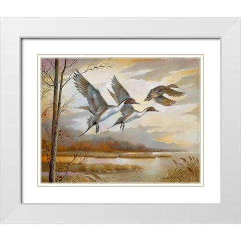 Pintails White Modern Wood Framed Art Print with Double Matting by Manning, Ruane