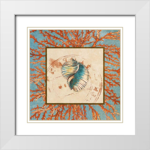 Coral Medley Shell I White Modern Wood Framed Art Print with Double Matting by Loreth, Lanie