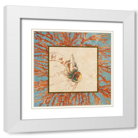 Coral Medley Shell III White Modern Wood Framed Art Print with Double Matting by Loreth, Lanie