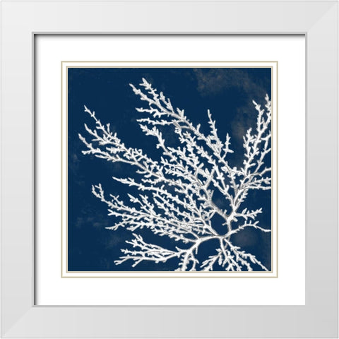 Coastal Coral I White Modern Wood Framed Art Print with Double Matting by Loreth, Lanie
