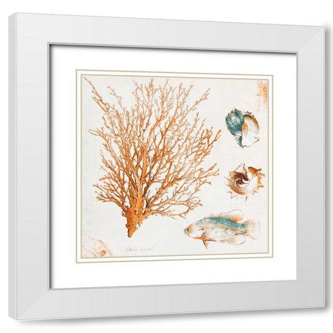 Coastal Teal Coral IV White Modern Wood Framed Art Print with Double Matting by Loreth, Lanie