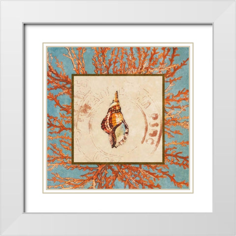 Coral Medley Shell IV White Modern Wood Framed Art Print with Double Matting by Loreth, Lanie