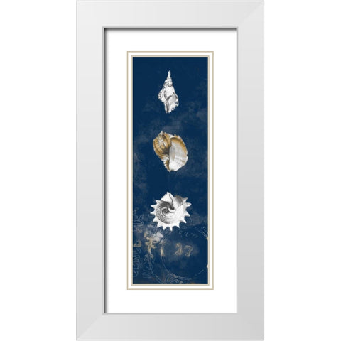 Coastal Shells Panel II White Modern Wood Framed Art Print with Double Matting by Loreth, Lanie